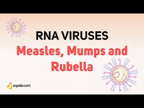 RNA Viruses: Measles, Mumps and Rubella | Microbiology