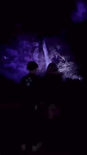 箕面の滝ライトアップで楽しむ夜の美