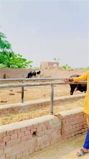 haroon Butter on TikTok