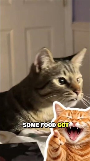 This cat gets excited when it smells food #shorts