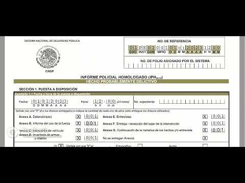 INFORME POLICIAL HOMOLOGADO - IPH SECCION 1
