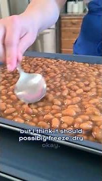 Is It Worth It To Freeze Dry Beans and Hummus?