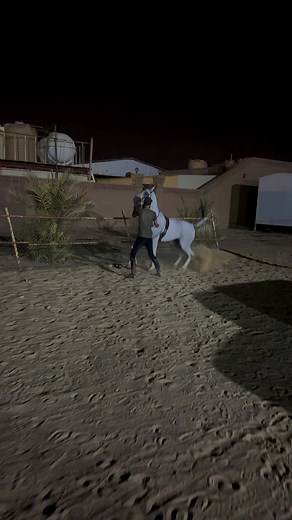 #🔥رقص_خيل_عربي_اصيل #خيل_عربي_اصيل_العاديات_ #sheinbetterlife #axplore #kuwait🇰🇼