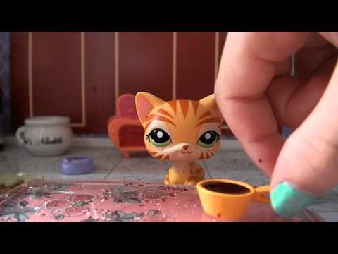 LPS Cooking Show No:1 Steak & Vegies