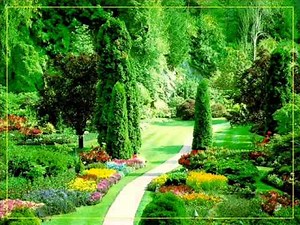 Steve Holy Good Morning Beautiful with lyrics