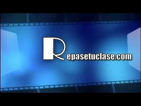 ¿Cómo consultar el estado del RUT?