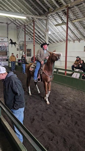 Thoroughbred sold Legacy Livestock Auction LLC #auction #merrychristmas2023 #sold #horseauction #throughbred #horse | Country Road Bidding
