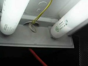 T12 bulbs running on T8 Ballast by mistake