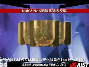 ナトリウムカリウム合金およびその過酸化物の発火・爆発危険性評価