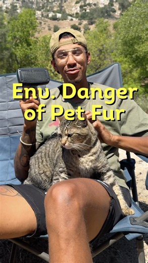 1.1K views · 18 reactions | Brushing your pet outside? If they’re on flea or tick meds, their fur can carry pesticides that harm insects, pollinators, and even birds and small mammals. Try brushing indoors—or if you're outside, collect and dispose of the fur. Small actions help protect the wildlife around us.  #SustainablePetCare #FleaAndTick #ProtectPollinators #PetCareTips #Cats #CatCare | Sustainability Matters | Facebook