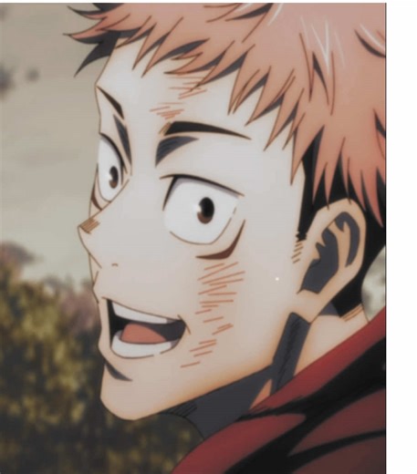The Cutest Moments of Jujutsu Kaisen's Yuji and Megumi
