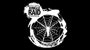 4 comments | Navy MWR, Okinawa on Reels | Facebook