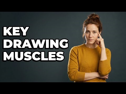 What Are Essential Muscles For Drawing Movement?