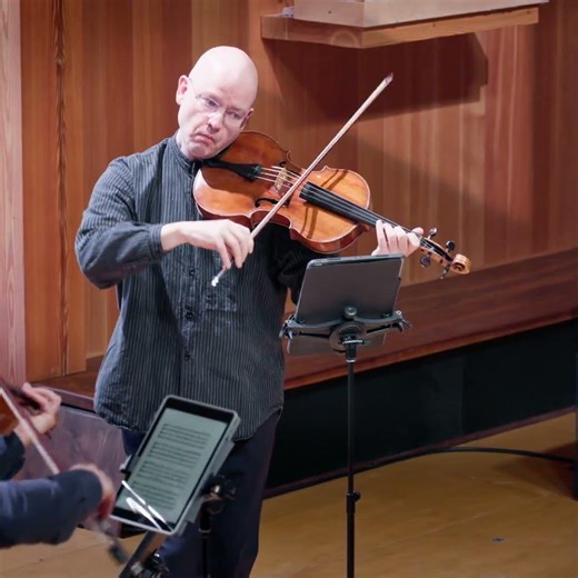 Haydn: String Quartet in F Minor, Hob. III:35, Op. 20 No. 5, IV. - Brooklyn Rider [Excerpt] #shorts