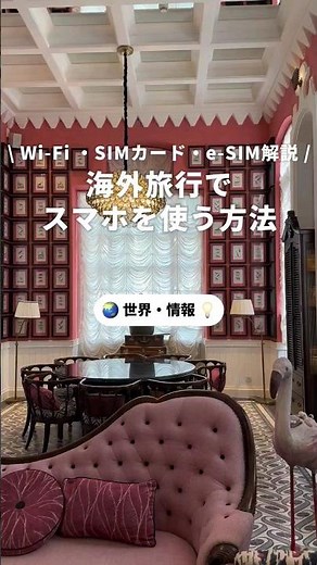 海外旅行でスマホを使う方法✈ #海外旅行 #海外 #旅行 #スマホ #携帯 #wifi #おすすめ #観光 #学生 #女子旅 #一人旅 #家族旅行 #大人旅 #カップル旅行 #男旅 #newt