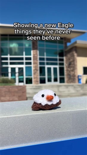 Embry-Riddle Prescott on Instagram: "From secret study spots to that perfect sunset view, there's always something new waiting to be discovered. #ForeverAnEagle #GoERAU"