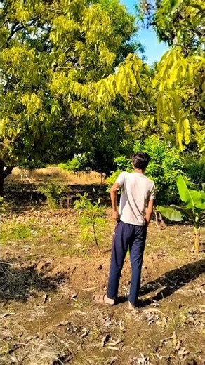 ☀🔥🔥👍🏻....................................... #comedy #viral #shortvideo #trending #funny #shorts