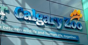 Calgary zoo introduces dynamic pricing with shifting rates depending on when you visit | News