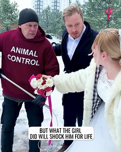 Groom's attitude toward a stray dog cost him his relationship | Fabiosa Better World