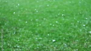 Heavy snowfall at spring. Snow and blurred green grass, trees. Slowly falling snow flakes. Bad snowy weather day. Summer nature background. No People, Super Slow motion. Snowstorm. Change of season