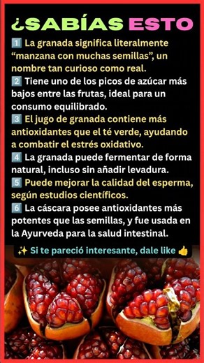 6 Datos Sorprendentes de la Granada Que No Conocías 🍎🔴 #shorts