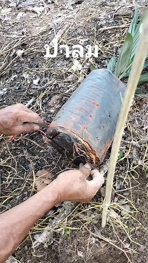 suwan6113 บน TikTok