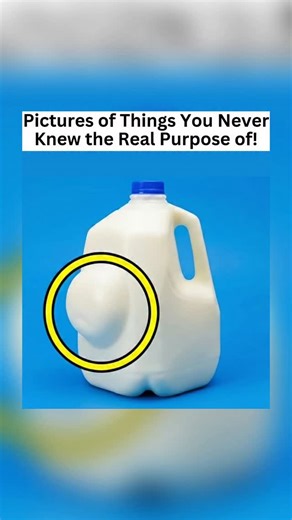 Official Thescientistfacts on Instagram: "Pictures of Things You Never Knew the Real Purpose of 👀😳 #didyouknow #fyp #thingsyoudidntknow #interesting #neverseenbefore"