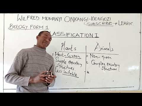 IMPORTANCE OF CLASSIFICATION