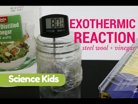EXOTHERMIC REACTION: Steel Wool + Vinegar = HEAT