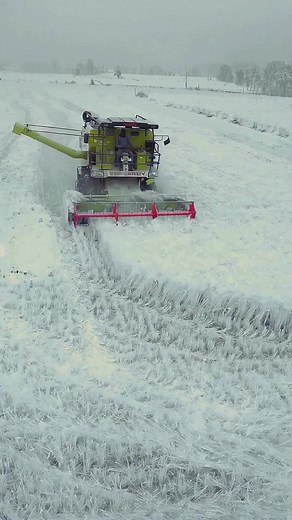 Formas de Apilar el Hielo para Raspados