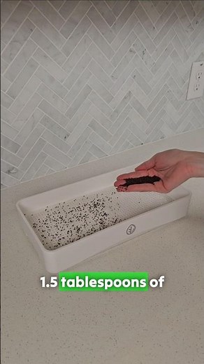 How We Seed Microgreens on the Kitchen Counter 🌱