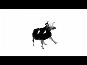 mucca che balla(polish cow)