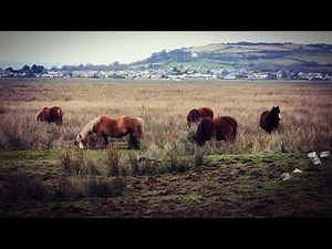 A Look around Penclawdd, Llanrhidian Marsh and Llanrhidian (Sony FDR AX53 4K Quality)