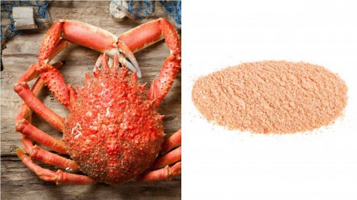 Descubre el chitosan: sus propiedades y contraindicaciones