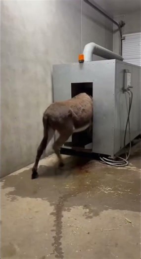 How Automated Systems Improve Efficiency