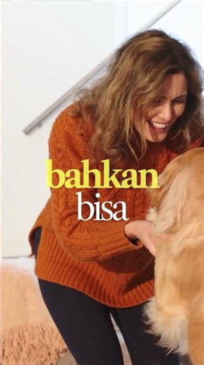 Apa jenis anjing terpintar? 🧠
