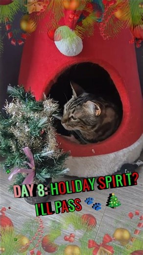 Rexmas Day 8: Holiday Spirit? I'll pass 🐾 🎄