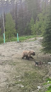 Alaska. Now. | Marty Raney