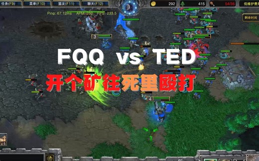 228 FQQ vs TED 开个矿往死里殴打 魔兽争霸