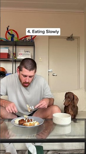 He certainly hasn't seen any of these 😅😅😅 #dachshund #sausagedog #doglove #doglife #cutedog