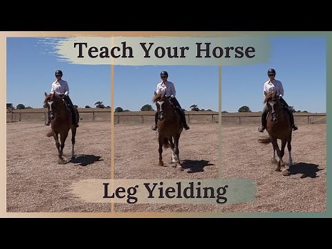 Leg Yielding Made Easy