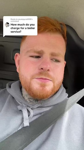 Replying to @grumpycat006 how much is a boiler service?