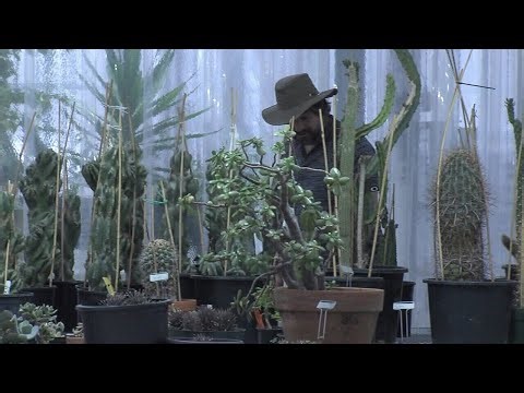VIDEO:  Centennial Botanical Conservatory Officially Opens