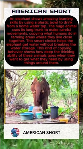 🐘 Smart Elephant Learns by Watching – Uses Bowl L