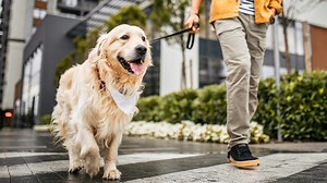 4 Simple Side Gigs That Can Make You an Extra $100/Week