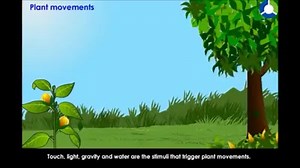 Tropism is the plant growth in the relation to the direction of stimulus. Plants stimulus like: light, gravity, chemical, touch, water. We have Nastic Movements of plants and Tropic movement. Types of tropism or tropic movement ndi monga: Phototropic Geotropism Hydrotropism Chemotropisms Thigmotropism and many more.. Follow like our page for more updates. Or join our online learning #0999136433. | MSCE Preparation