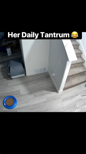 She screaming for Blue to go downstairs with her 😂 | Baby and Blue