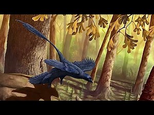 The Weirdest Looking Dinosaur With 4 Wings