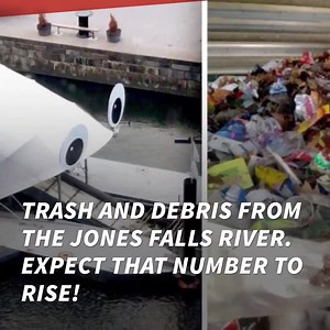 753K views · 19 reactions | They're cute and they clean? Sign us up! | Second Nexus | Facebook