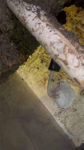 Leaking light fitting detected and repaired in Parkinson